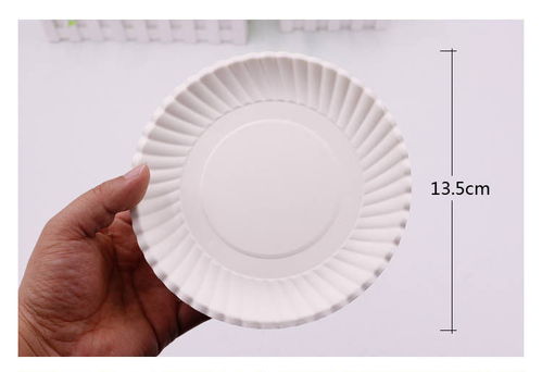 創(chuàng)新教學與實用批發(fā) 一次性紙盤子繪畫在幼兒園手工活動中的多功能應用